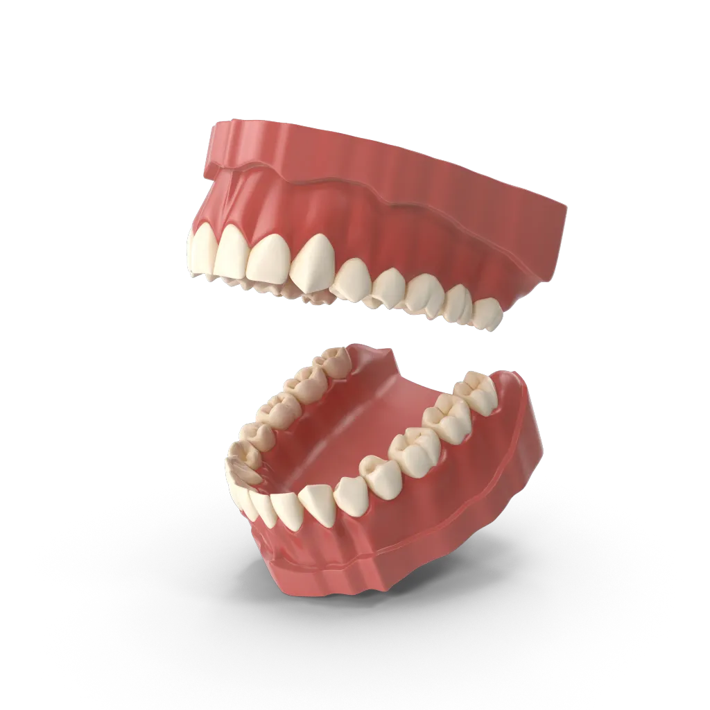 Протезы при отсутствии зубов