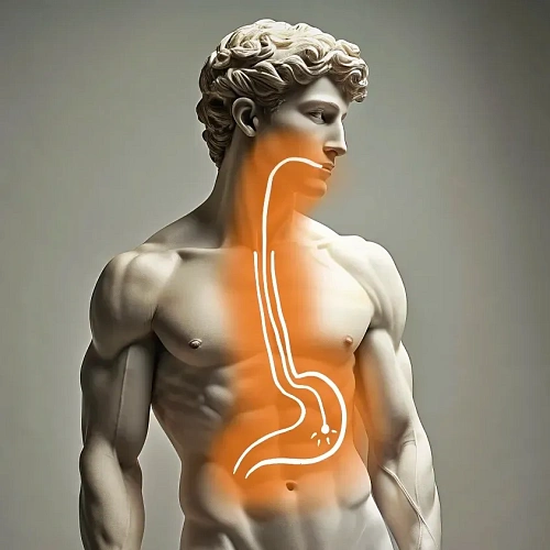 Endoscopy